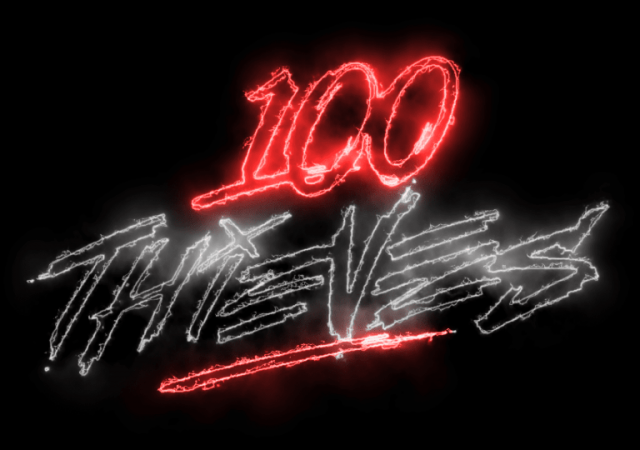 100thieves- steel