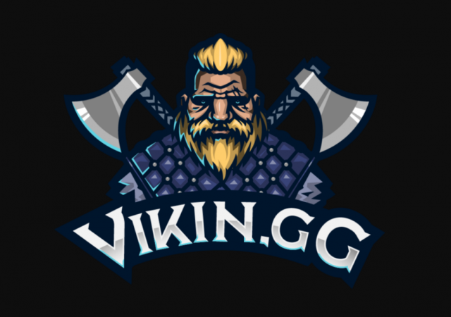 vikin.gg-1