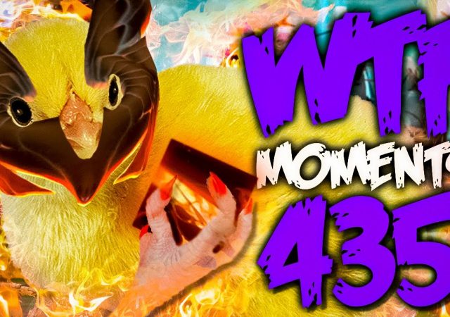 wtfdota-435