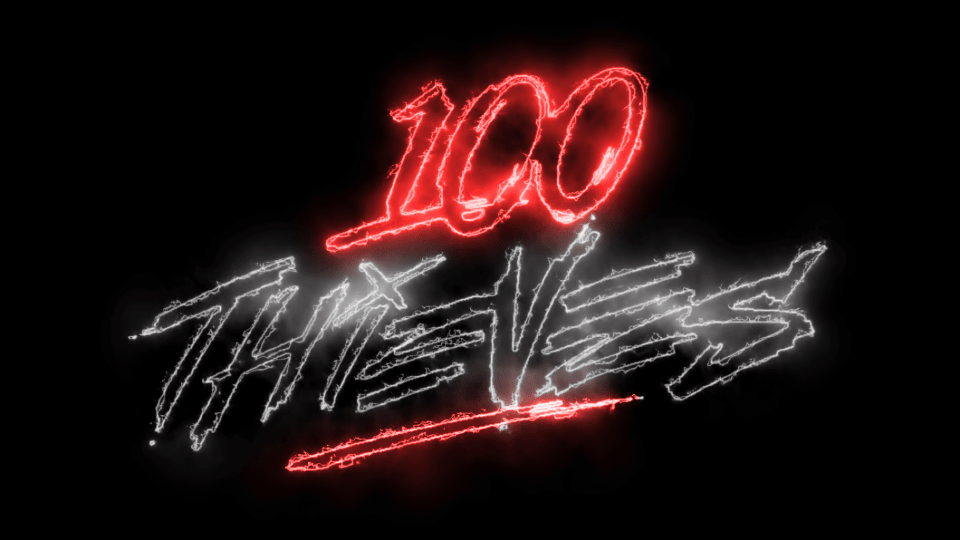 100thieves- steel