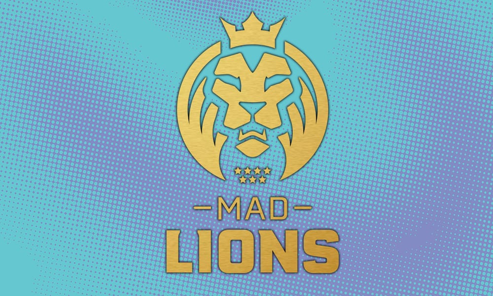 mad lions-spellan-tudson