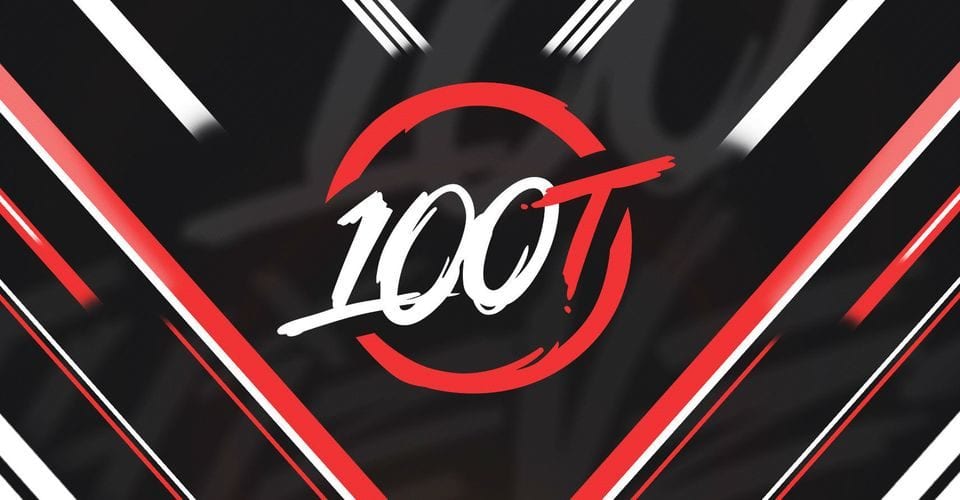 100 thieves - babyj
