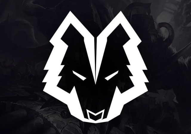 vertex-league-of-legends-igrači-24-1