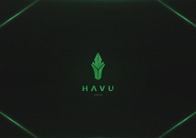 havu gaming