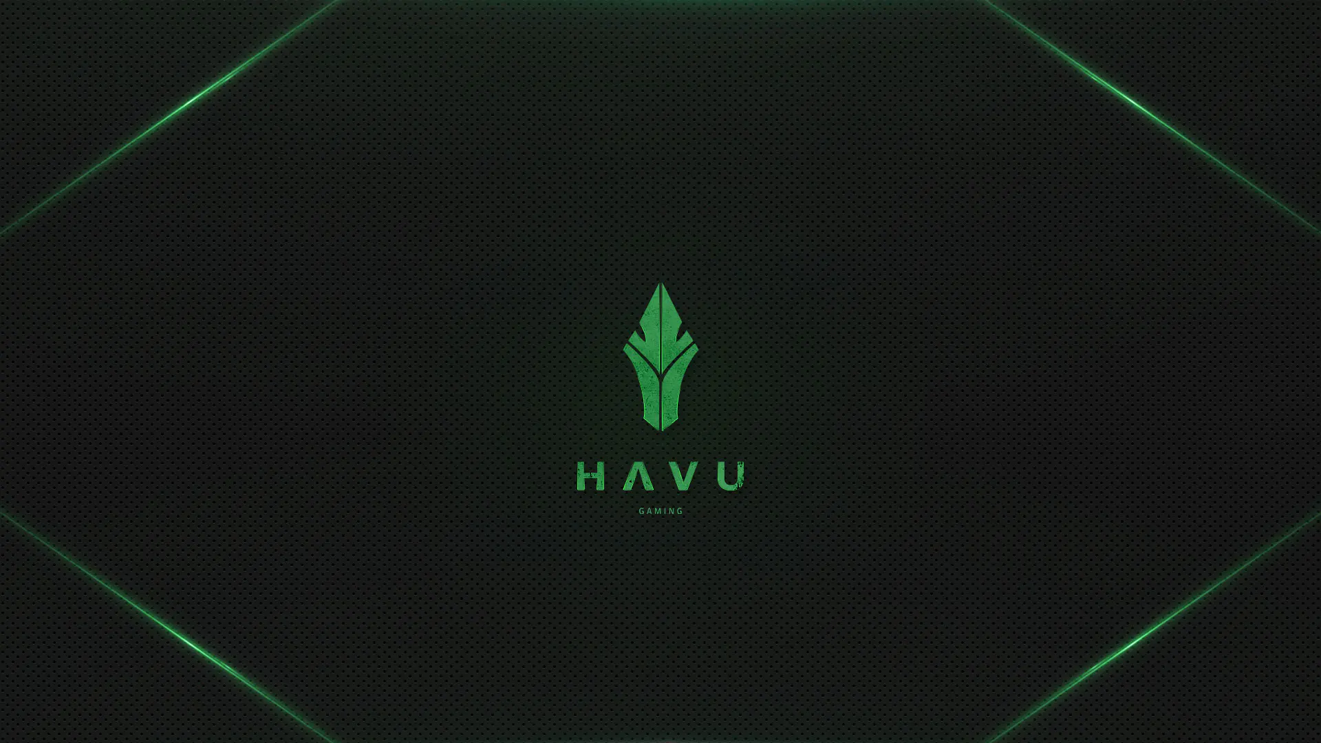 havu gaming