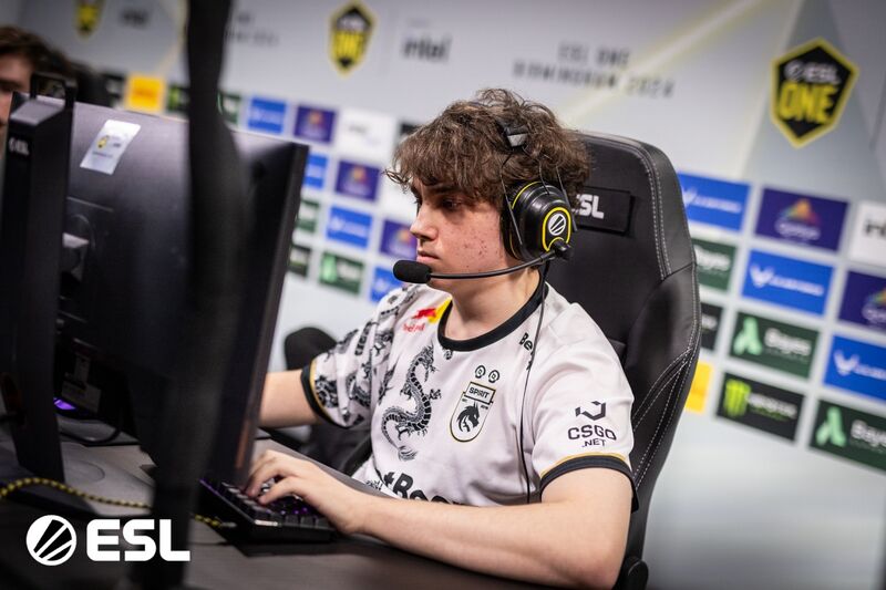 Larl Team Spirit Dota 2