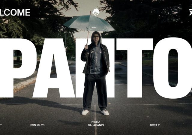 Panto_Team_Spirit_Dota_2_w