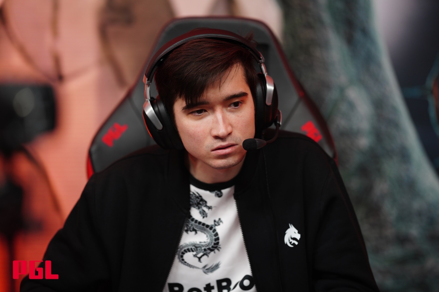 Silent_at_Dota_2_PGL_Wallachia_Season_1